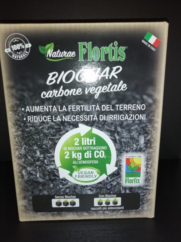 Carbone vegetale