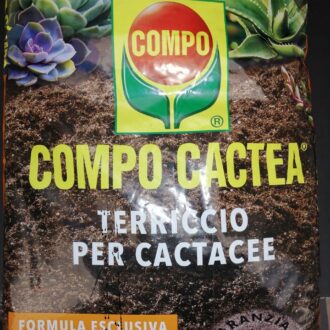 Compo Cactea Terriccio per Cactacee