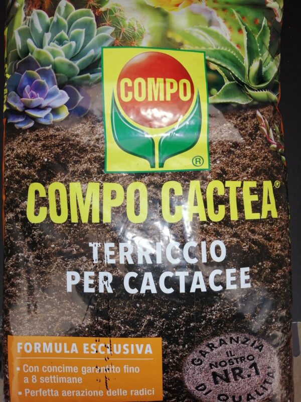 Compo Cactea Terriccio per Cactacee